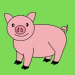 Pig Weight Calculator