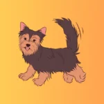 Yorkie Growth Calculator